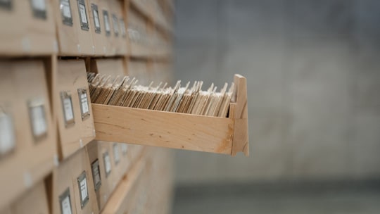 Archives - Action Agir Archives - Action Agir